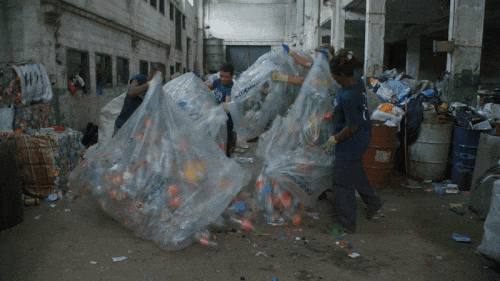 1000 Bottles Looks Like