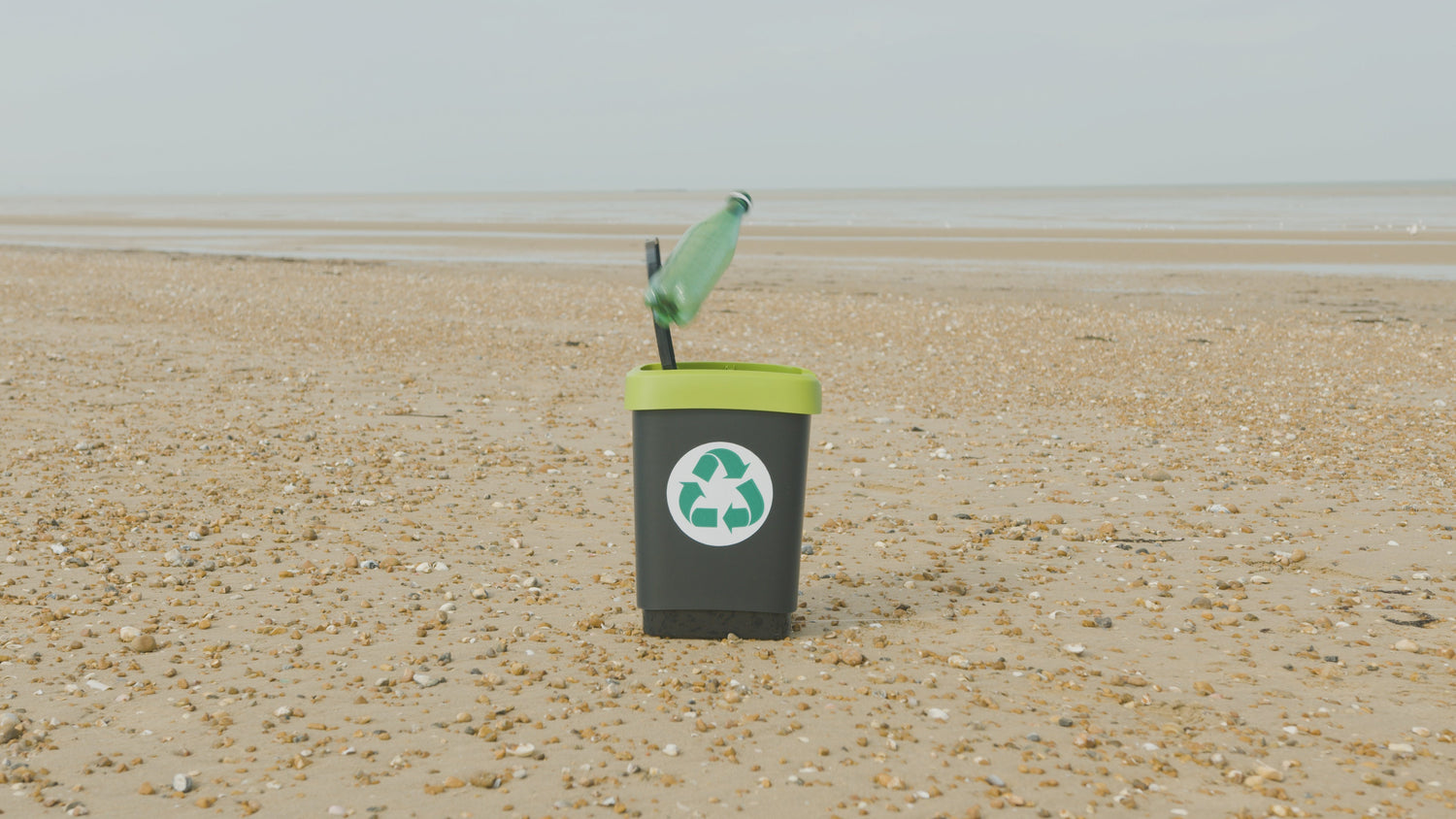 Global Recycling Day 2024 ♻️