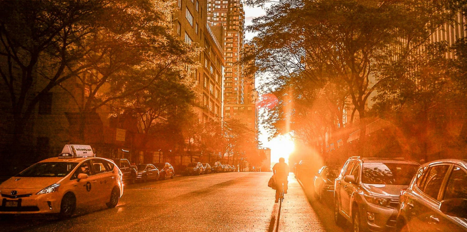 Seasons Change, Systems Don’t, Unless We Act