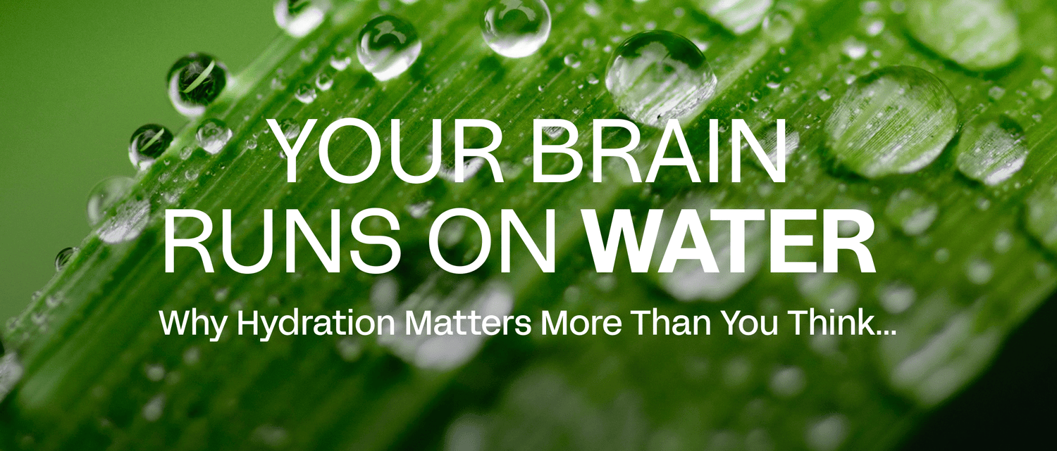 Your Brain Runs on Water: Why Hydration Matters More Than You Think
