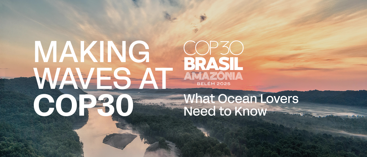 COP30 Brasil